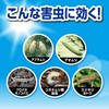 Fumakilla Kadan Power Guard Granules 250g, Simultaneously Exterminates Pests and