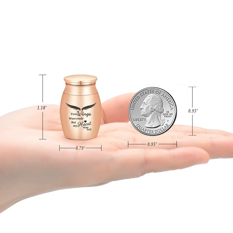 AIWENXI Small Keepsake Urn for Human & Pet Ashes -