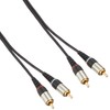 Elpa Audio Cable Pin Plug * 2 – Pin Plug