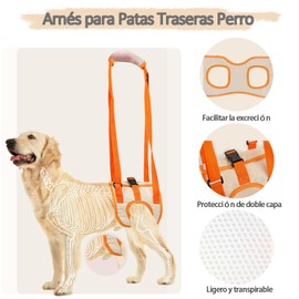 UYBNBVD Arnés de Elevación para Perro Ligero y Transpirable,Arnés Acolchado Ajustable para Patas Traseras de Perro.para Ayudar a los Perro Mayor o Discapacitado a Caminar, Subir y Bajar Escalera (XL)