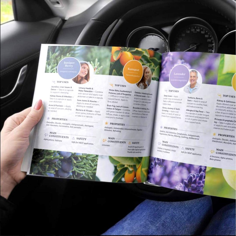 Uleiurile Esentiale In Pasi Simpli