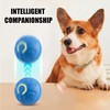 GSHLGAO Shaky Ball Toy for Dogs,Vibrating Dog Ball,Shaky Ball Dog