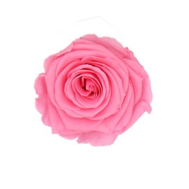 PARIS EN ROSE Rose Box with 4 Pink Infinity Roses Size XL Preserved Eternal Rose Round Black Box with Bow 3 Years Shelf Life Greeting Card