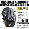 Sakurai Trade FALCON FG-2355 Falcon Baseball Gloves, Soft Boys, All