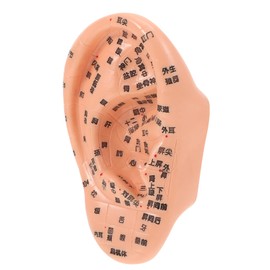 PACKOVE 1Pc Realistic Ear Acupuncture Model for Ear Massage Detailed Acupressure Reference for Anatomy Healing for Medical Students and Acupuncturists
