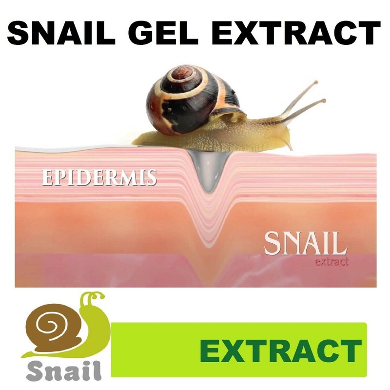 E. 1 Helix Aspersa skin care Snail Gel Baba de