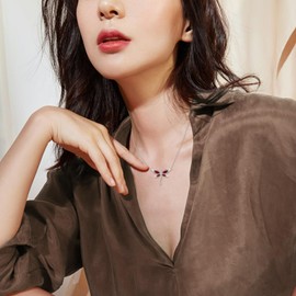 AOBOCO Dragonfly Necklace Sterling Silver Crystal BirthstoneDragonfly Jewelry Gifts (1 January Birthstone)