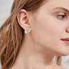 Women's Gold Earrings, AAAAA Zirconia, Popular, Hypoallergenic, Round, Earrings, For