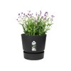 elho Greenville Round 16 - Flower Pot with Integrated Water