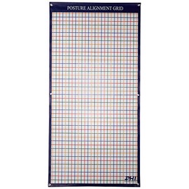 Wall Mounted Color Coded Posture Grid, Matte Finish