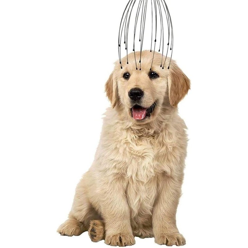 Scalp Massagers, Head Massager Scalp Hair Growth Scratcher for Deep