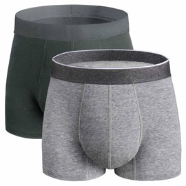 REELINDRY Mens Incontinence Underwear Washable, 2.3 oz Leak Proof Absorbent Odor Neutralization Briefs for Bladder Leak 2 Pack(Dark Gray-Gray, M)