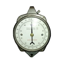 Zenport Accuzen Hanging Mechanical Dial Scale, 100-Pound, 100-lbs, silver