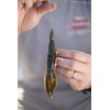 Berkley PowerBait Pit Boss Fishing Bait, 4", Skeet’s Hot Craw,