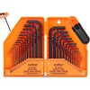 HORUSDY 31-Piece Hex Key Set, Allen Wrench Set With T-handle