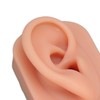 Silicone Piercing Practice Model Simulation Soft Flexible Nose Ears Model
