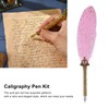 Quill Pen Set Retro Elegant Exquisite Pattern Smoothing Writing Feather