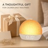 Sunrise Alarm Clock with 30 Soothing Sounds, White Noise Machine,
