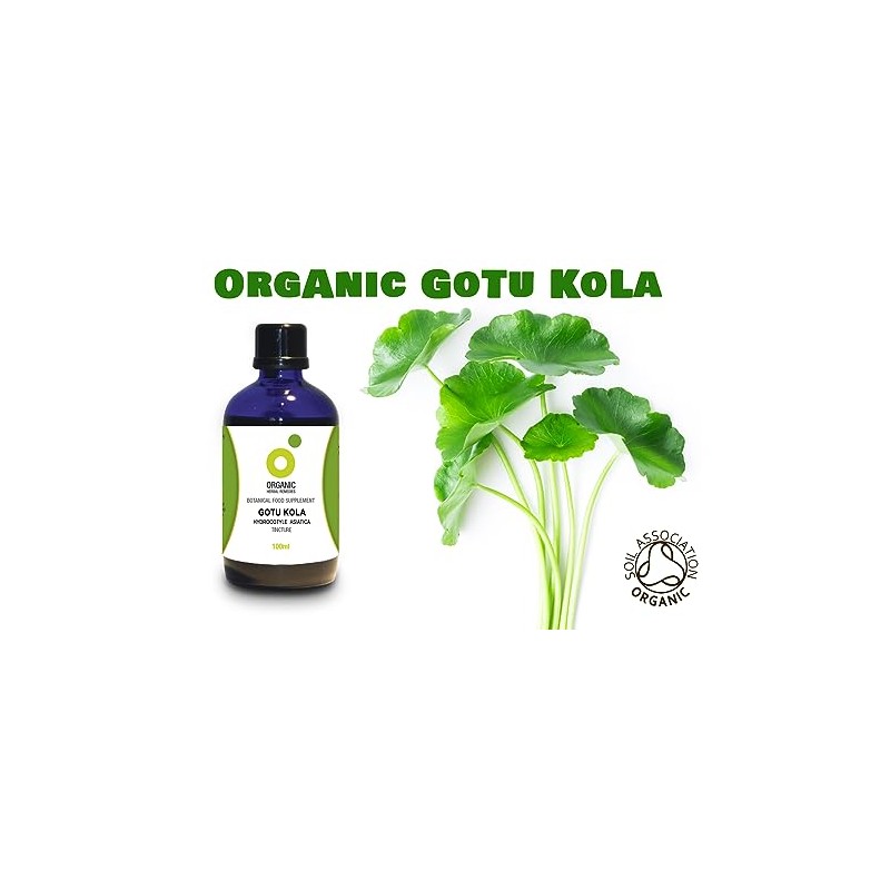 Organic Herbal Remedies 100ml Gotu Kola Tincture