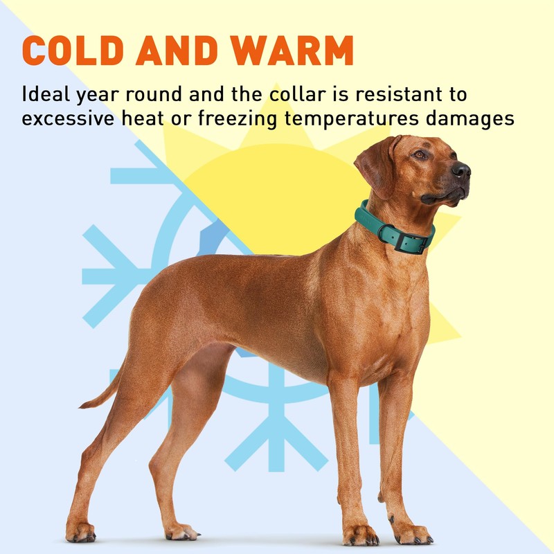 Dogline Biothane Waterproof Dog Collar Strong Coated Nylon Webbing with