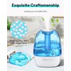 Leemone Humidifier Cleaning Fish for Humidifiers & Fish Tanks, 10