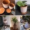 D'vine Dev Set of 2 Terracotta Pots, 4 Inch &