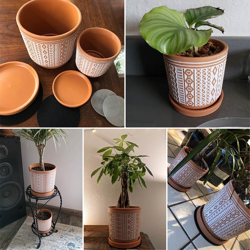 D'vine Dev Set of 2 Terracotta Pots, 4 Inch &