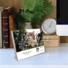 What Cats Teach Us 2026 5.4" x 6.2" Box Calendar
