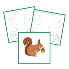 Avenue Mandarine GY150C - A Graffy Lean Colouring Book for Learning to Draw - 24 Drawings - Ages 7+ - FORET