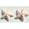 Generic Starfish Ceramic Salt & Pepper Shaker Set, 2.5 inches