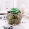 Segreto Creative Succulent Plant Pots Ceramic Planter