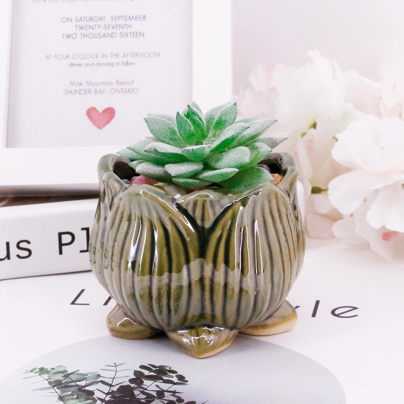 Segreto Creative Succulent Plant Pots Ceramic Planter