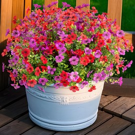 INXUGAO Artificial Fake Plants Flowers for Outdoor Spring Summer Decor, 12 Bundles Faux Silk Daisy for Planter Pot Colorful UV Resistant Look Real for Front Door Porch Patio Outside Yard(Red Purple)