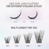 LANKIZ DIY Eyelash Extensions, Individual Eyelash Extensions, 120 Clusters, Soft