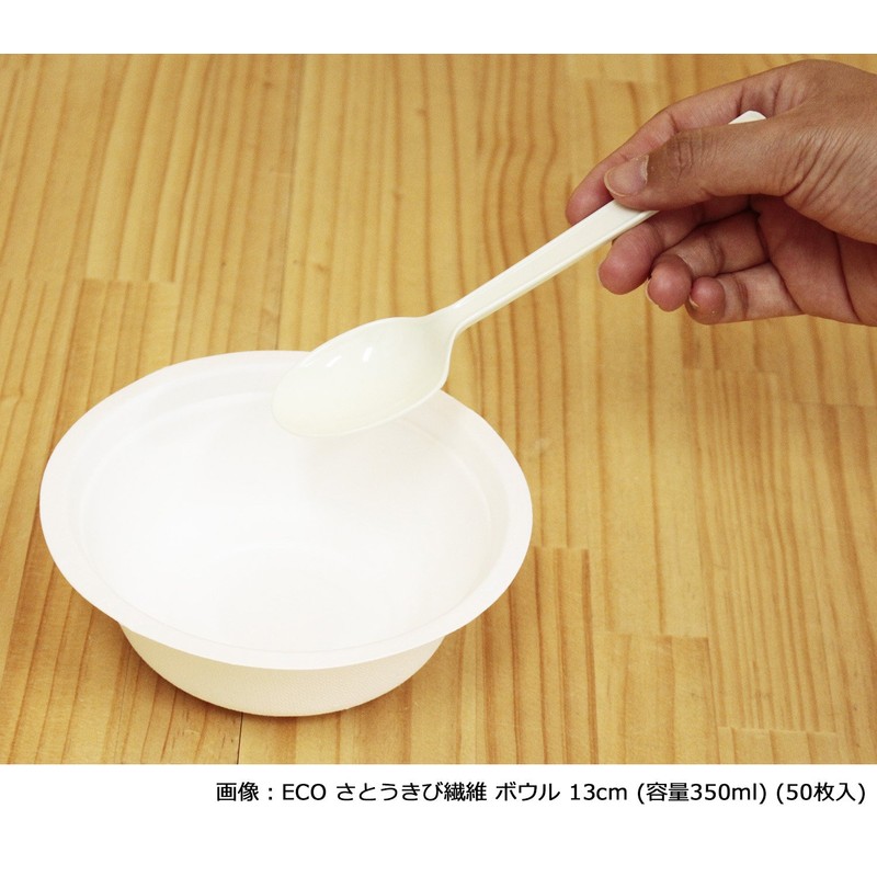 Nakamura Spoons, Commercial Use, Plastic, Pack of 100, 6.3 inches