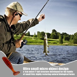 Soft Lures - Bass Fishing Bait for Freshwater and Saltwater,Fisherman Casting Tackle for Trout Small Minnows Young Culter Walleye Crappie Mud Carp