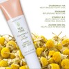 Earth To Skin Tea Time Chamomile Eye Cream – Hydrating