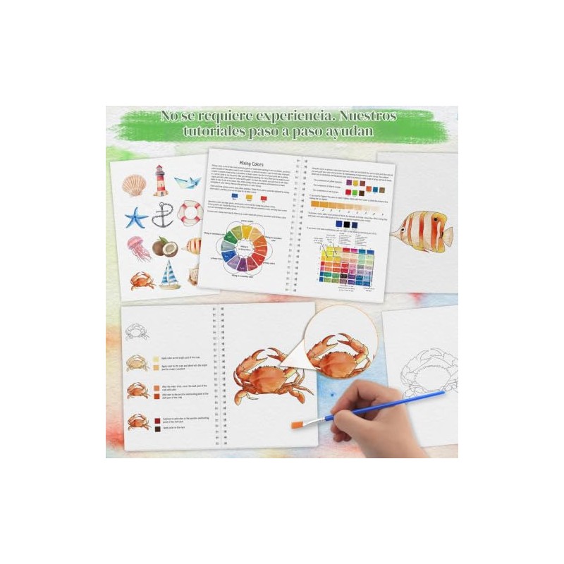 Libro Acuarela para Principiantes Set de Arte Playa