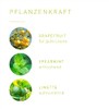 Primavera PRIMAVERA Lebenslust Duftmischung 5 ml - Grapefruit, Spearmint und