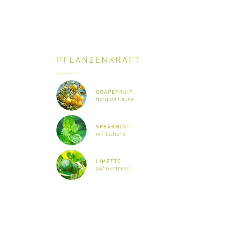 Primavera PRIMAVERA Lebenslust Duftmischung 5 ml - Grapefruit, Spearmint und