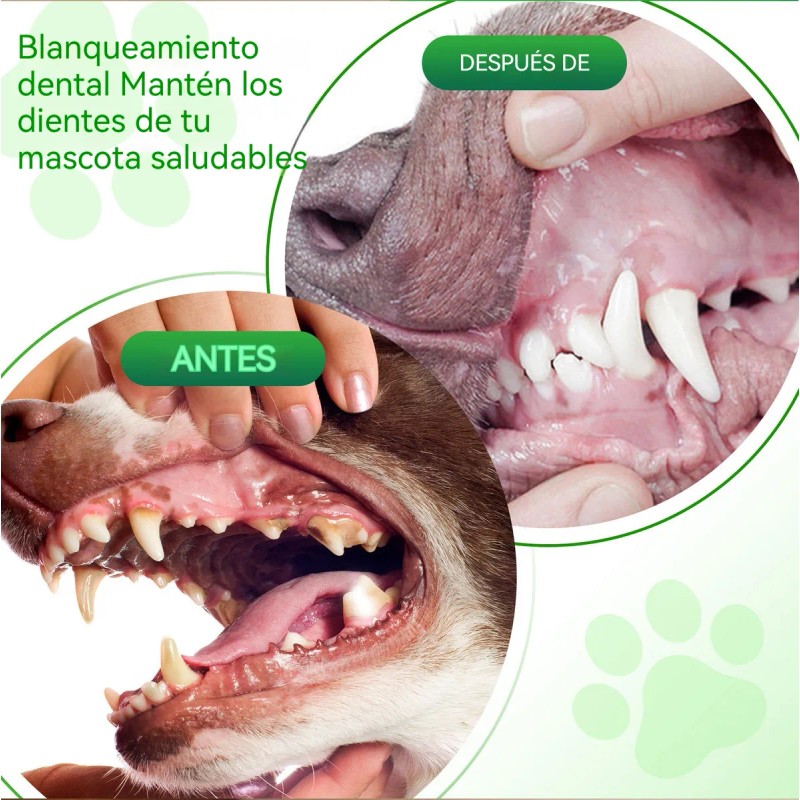 Limpieza De Dientes Para Perros - Pasta Para Perros 2