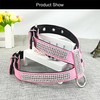 Newtensina Stylish Dog Harness with Diamond and Lead Cute Girl