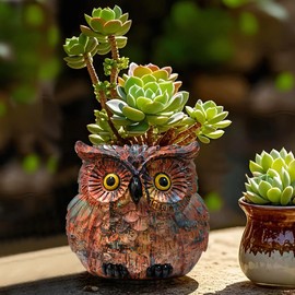 Owl Planter, Owl Succulent Pots, Funny Plant Pots Indoor/Outdoor, Garden Flower Pot, Cute Small Planters for office Home Decor, Unique Brush Pencil Pen Holder, Antique Vase for Women Mother Teacher