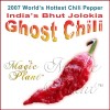 Magic Plant Farms Smoked Ghost Chili Pepper WHOLE (1kg=2.2lb) |