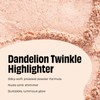 Dandelion Twinkle Shimmer Finish Powder Highlighter Bronzer Makeup