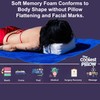 The Coolest Pillow - Essential for Sunbathing at Beach or