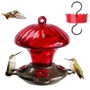 Hummingbird Feeder, Auslar 15 Ounces Glass Hummingbird Feeders for Outdoors