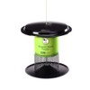 Birds Choice Bugs 'N Nuts Seed Cake | Wild Bird