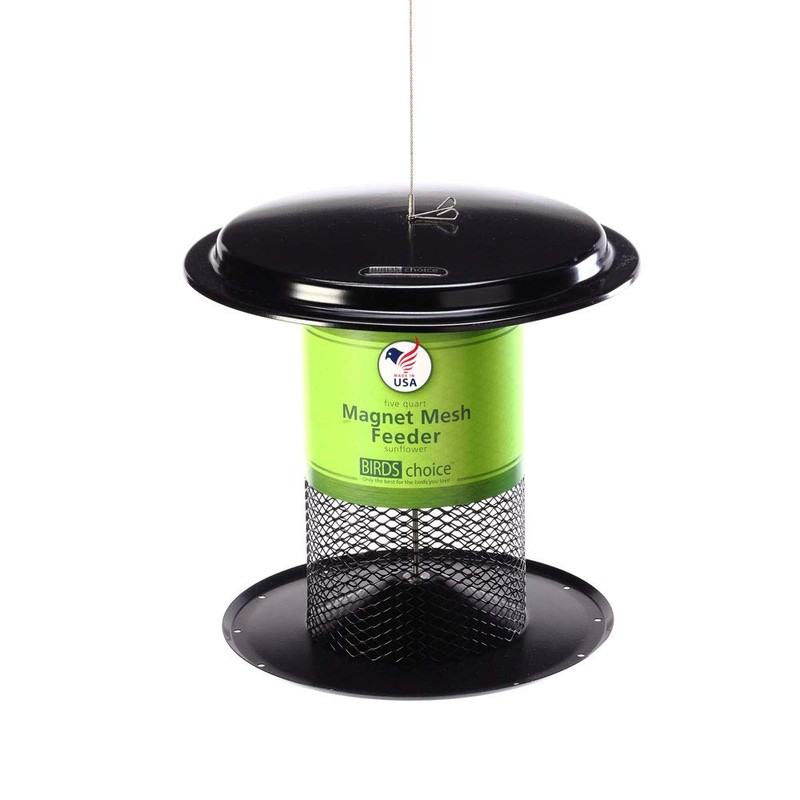 Birds Choice Bugs 'N Nuts Seed Cake | Wild Bird