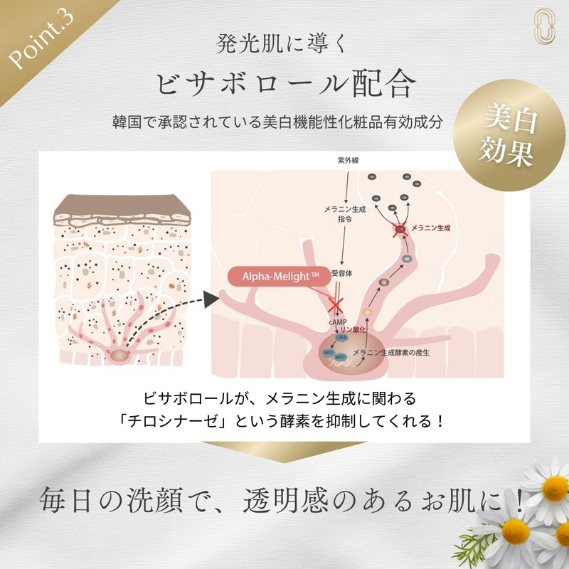 【公式】CHAINON(シェノン) ホワイトホイップウォッシュ 180g 洗顔料 泡洗顔 洗顔フォーム 美容皮膚科医監修 セラミド